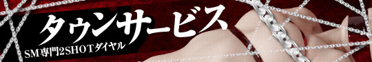 town-service_banner